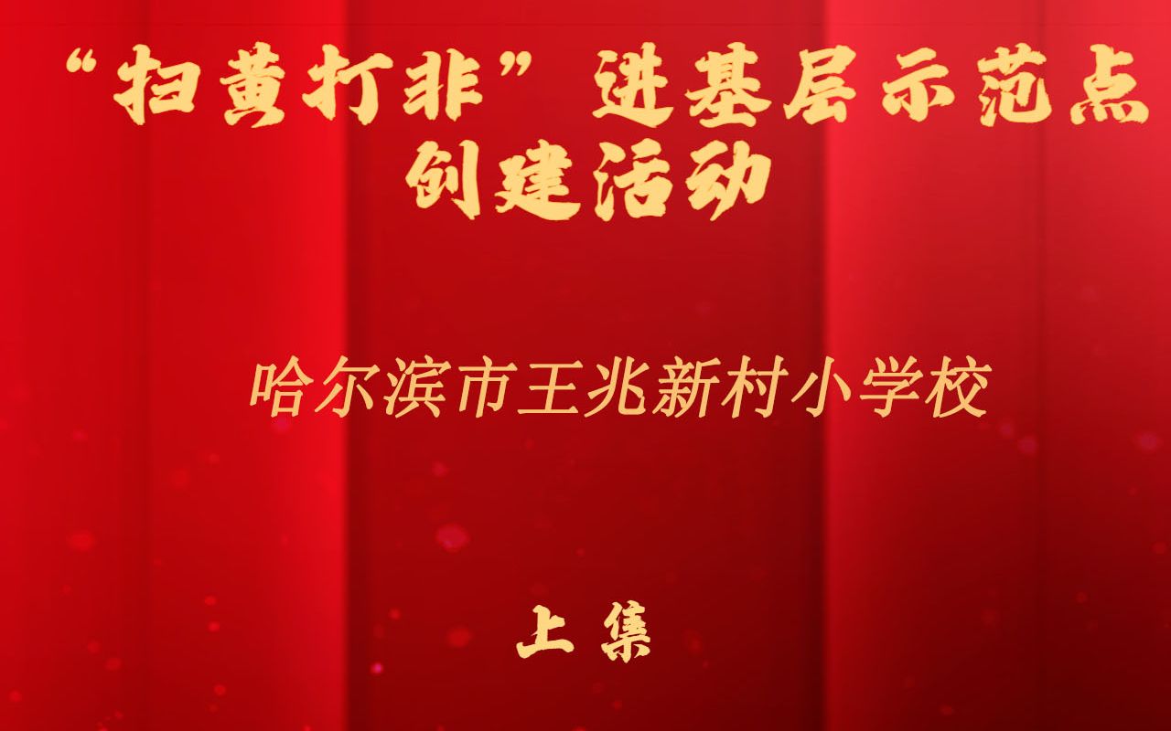 [图]“扫黄打非”进基层示范点创建活动，哈尔滨市王兆新村小学校（上）