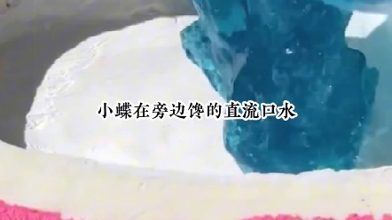 回望大唐哔哩哔哩bilibili