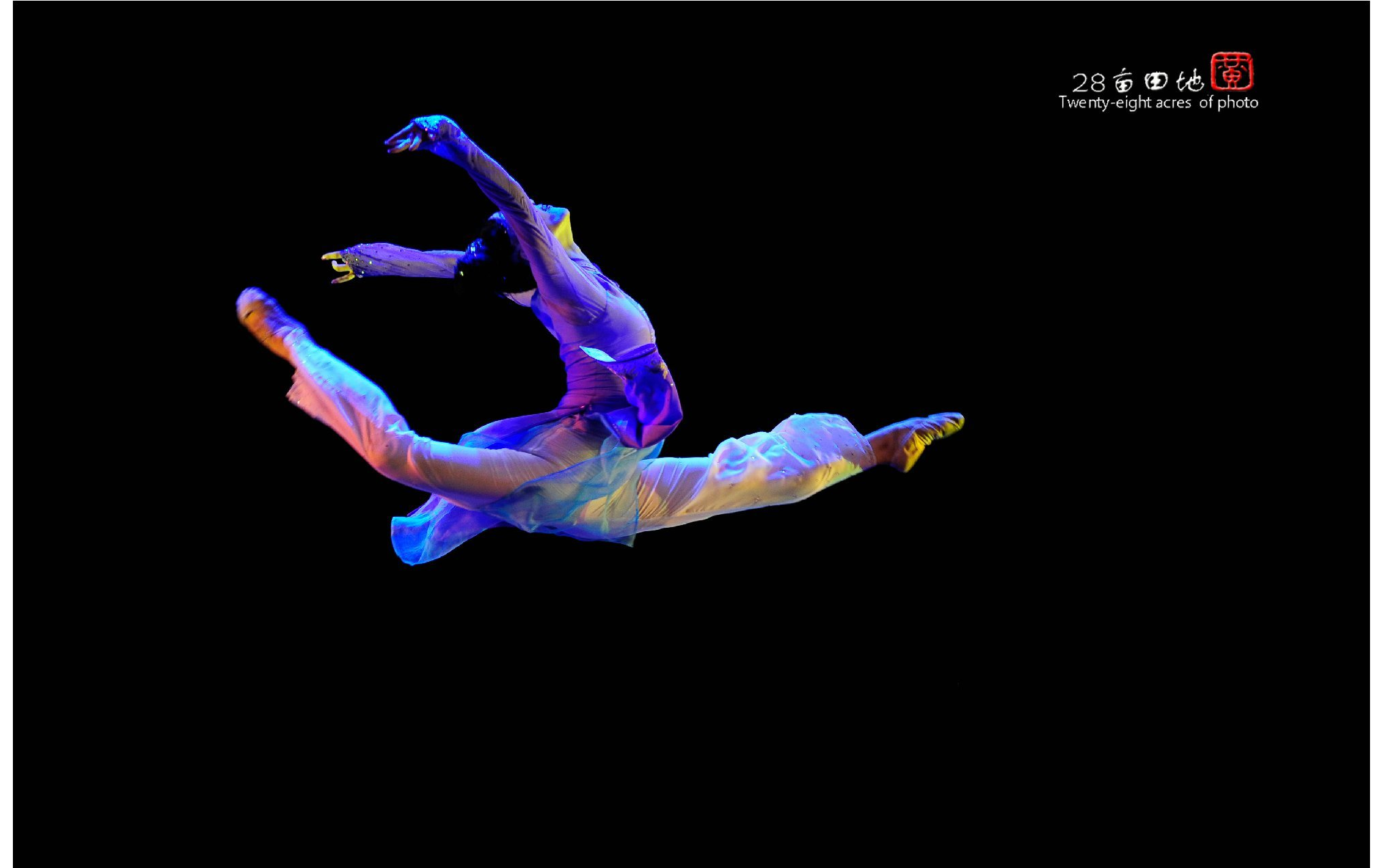 【古典舞】身韵 61 独舞《海棠依旧》 十桃>(表演卢奕佳)