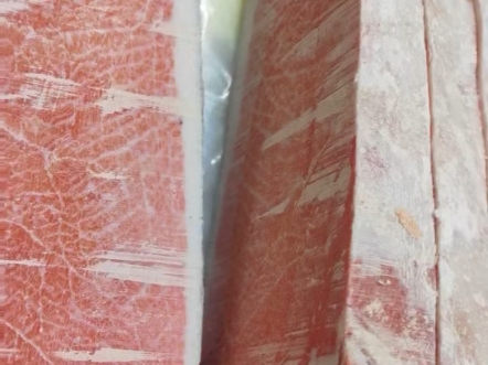 没人比我更懂蓝鳍金枪鱼大腹731573157315