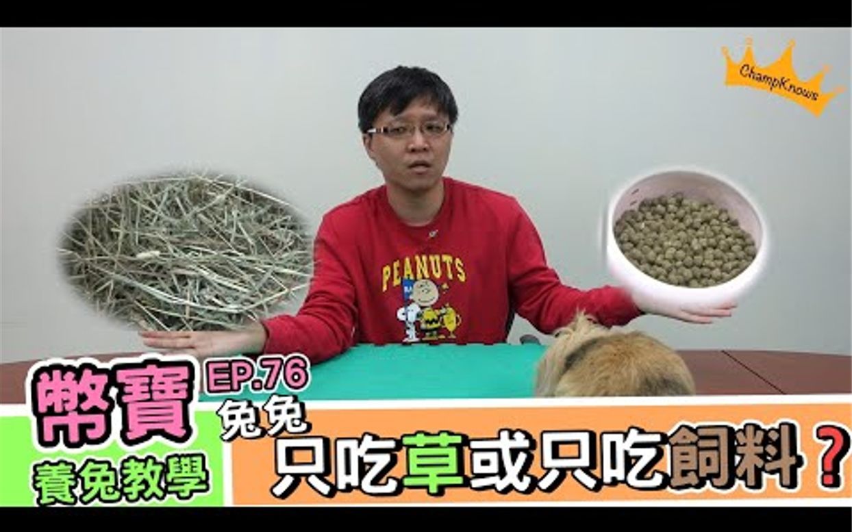 [图]兔子可以只吃草或只吃饲料吗？ ｜币宝养兔教学系列 EP 76｜ChamKnows【冠军知道】#兔兔 #草 #饲料