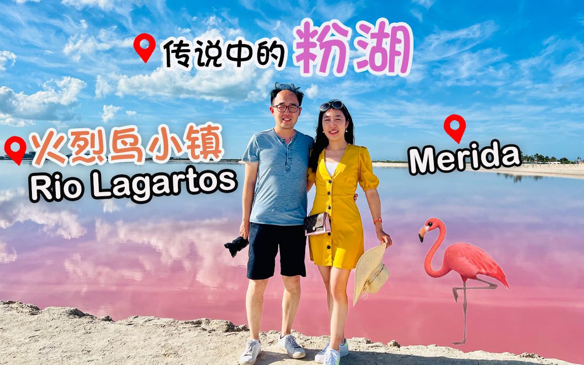 [图]【墨西哥攻略】第12站粉红湖300刀票价值不值？Rio Lagartos小镇（出海观赏火烈鸟最佳）墨西哥大都市Merida游玩攻略 坎昆周边游玩攻略