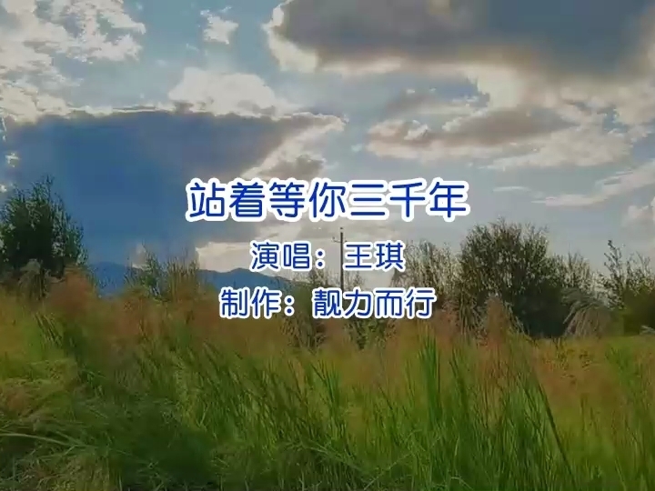 王琪《站着等你三千年》