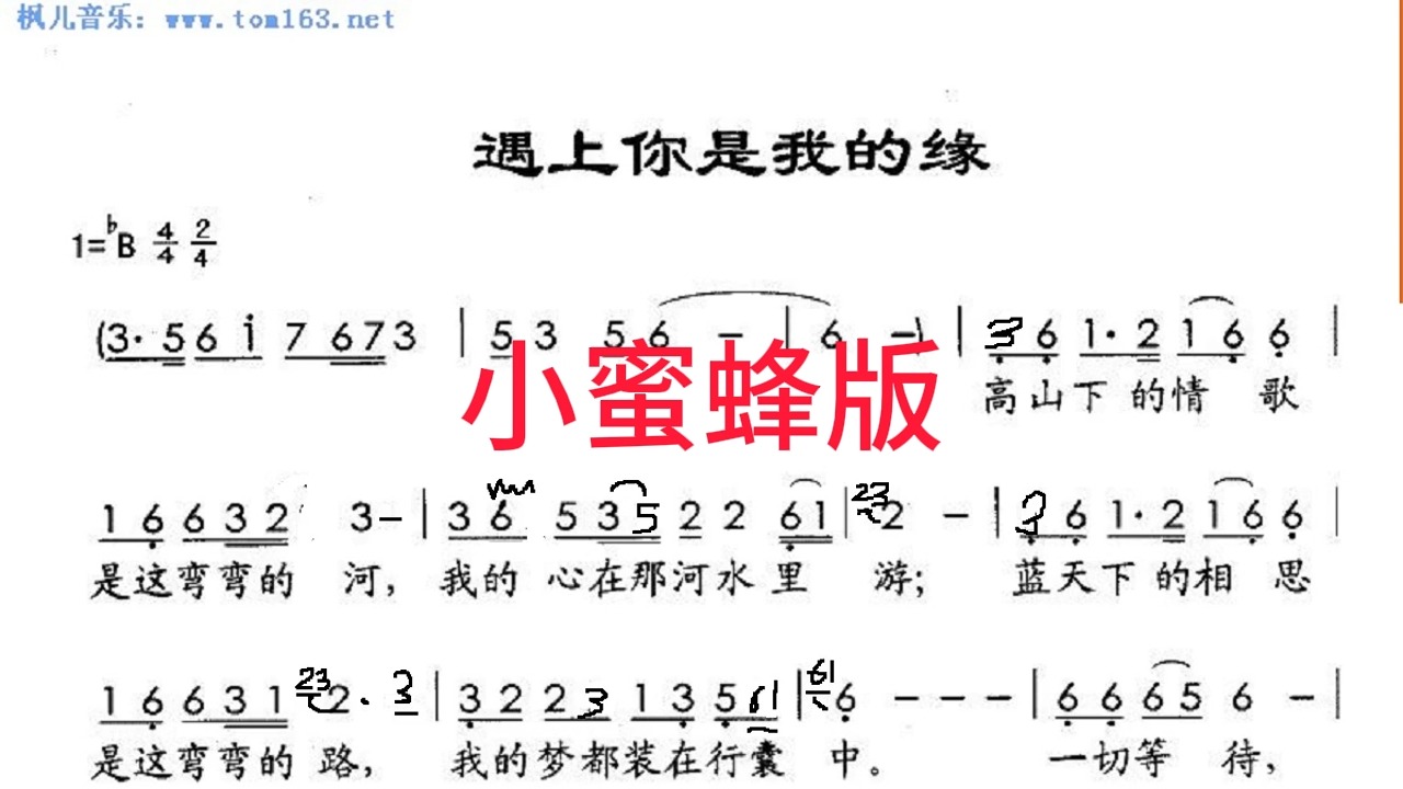 缘笛子简谱图片