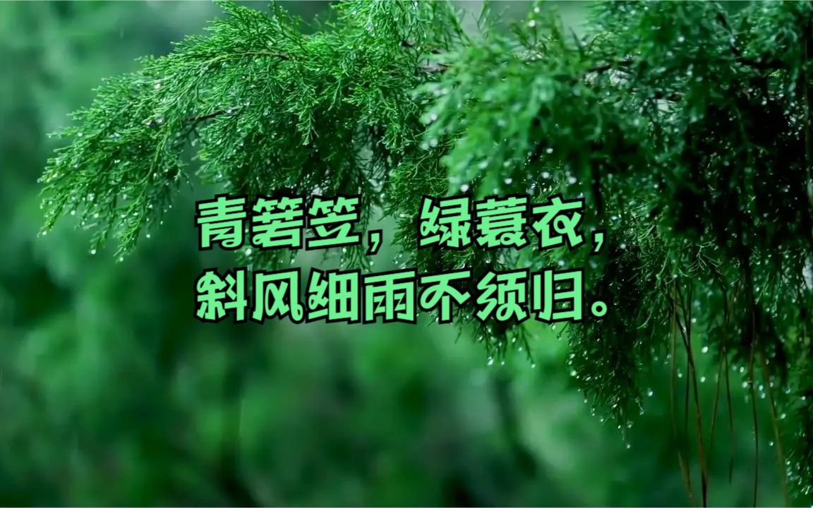 [图]青箬笠，绿蓑衣，斜风细雨不须归??雨滴声,白噪音★︎冥想放松下来，随声入眠✨