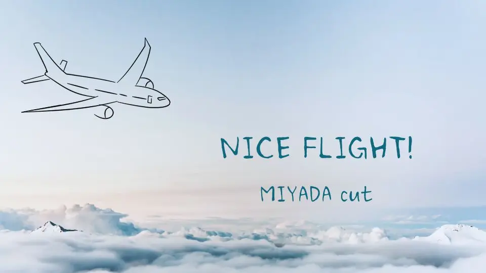 NICE FLIGHT! 宮田俊哉cut_哔哩哔哩_bilibili