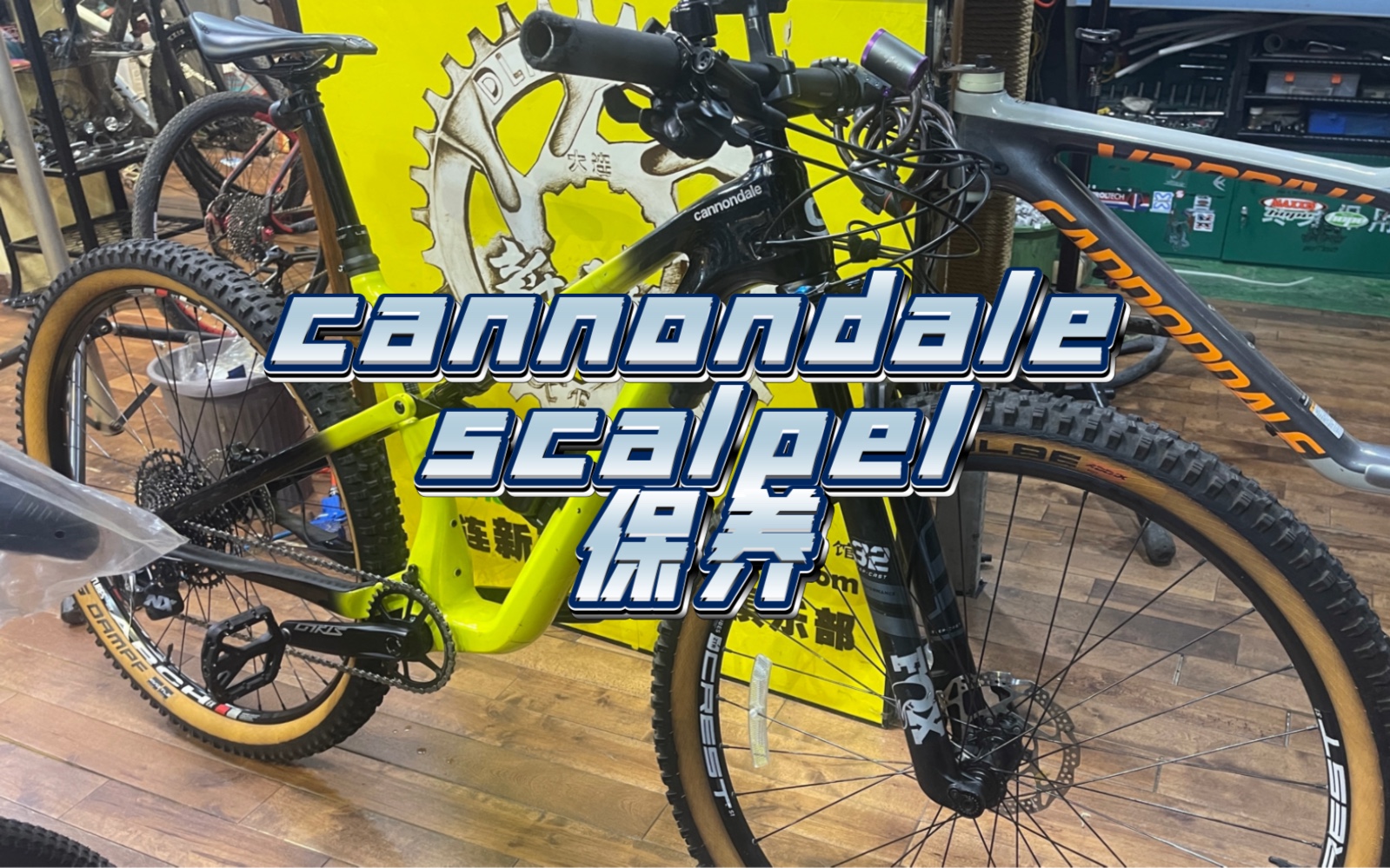 cannondale scalpel 保养哔哩哔哩bilibili