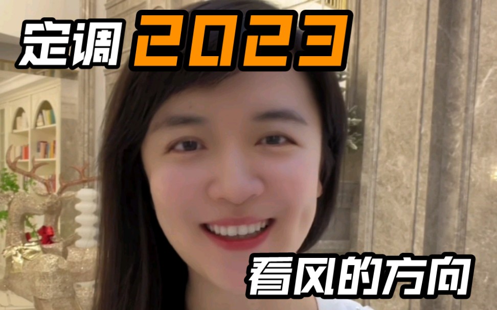 定调2023,看风的方向哔哩哔哩bilibili