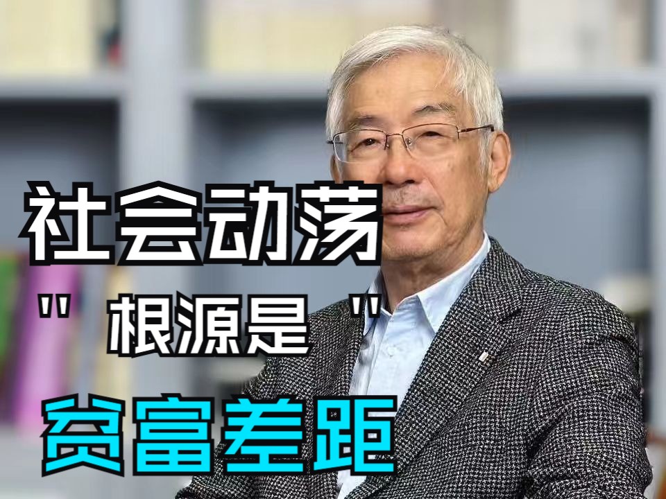 专家谈经济:发达国家社会动荡的根源是贫富差距!哔哩哔哩bilibili