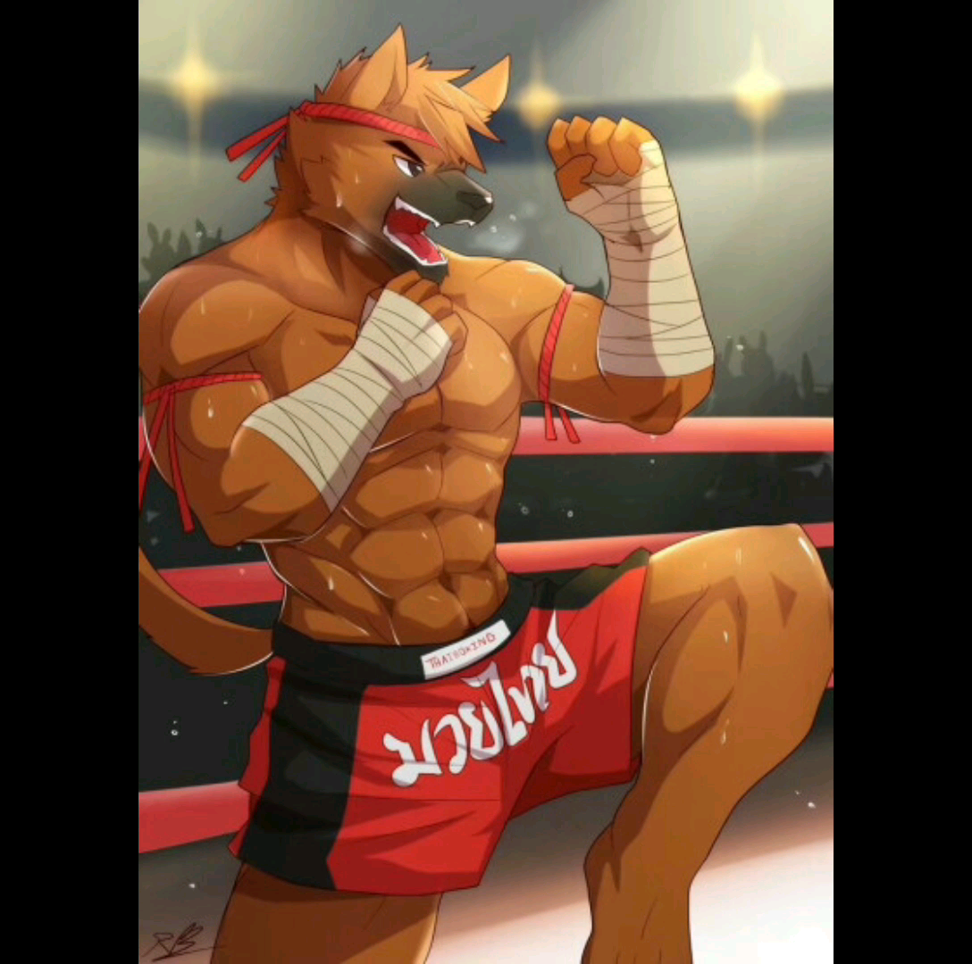 兽人杂图_哔哩哔哩_bilibili