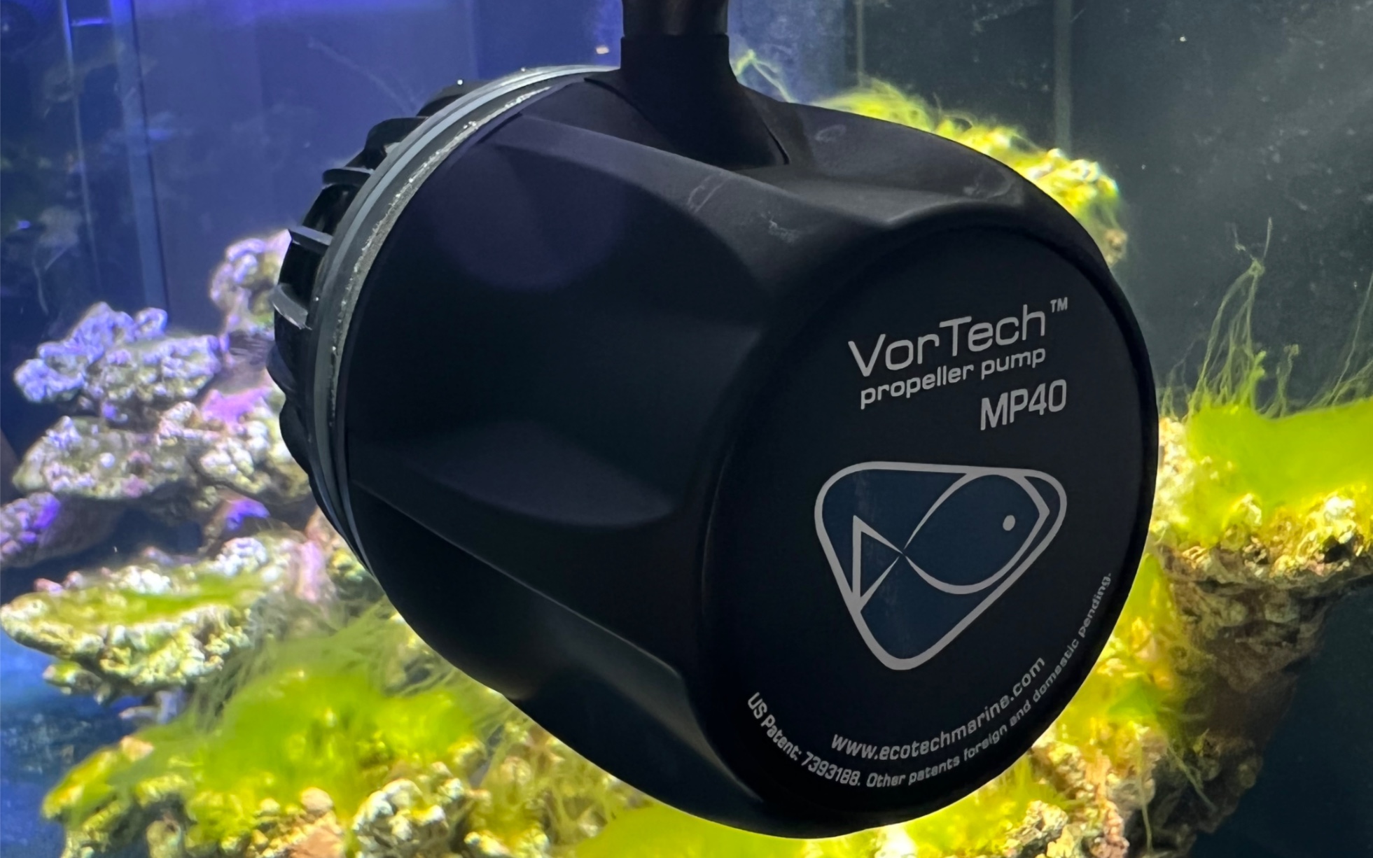 第一次使用ecotechmp40造浪泵