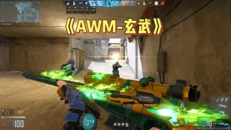 Download Video: 《AWM-玄武》 AWM-战令玄武皮肤