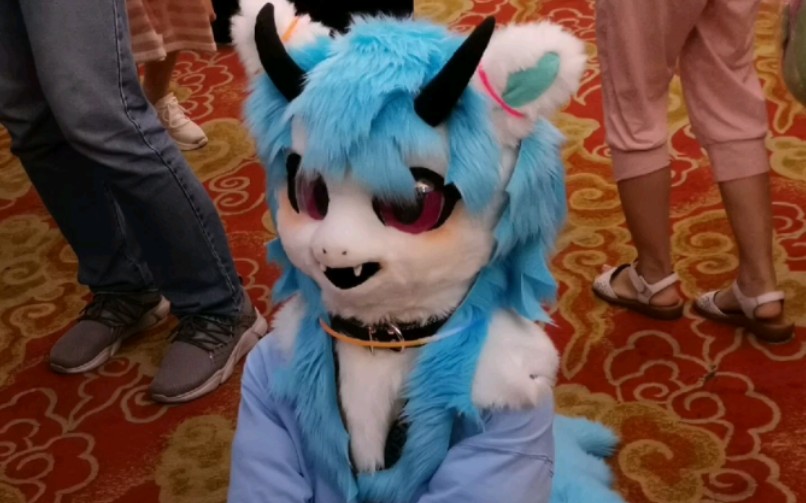 fursuit兽装小马2020tbc成都天府马聚上的furry小马