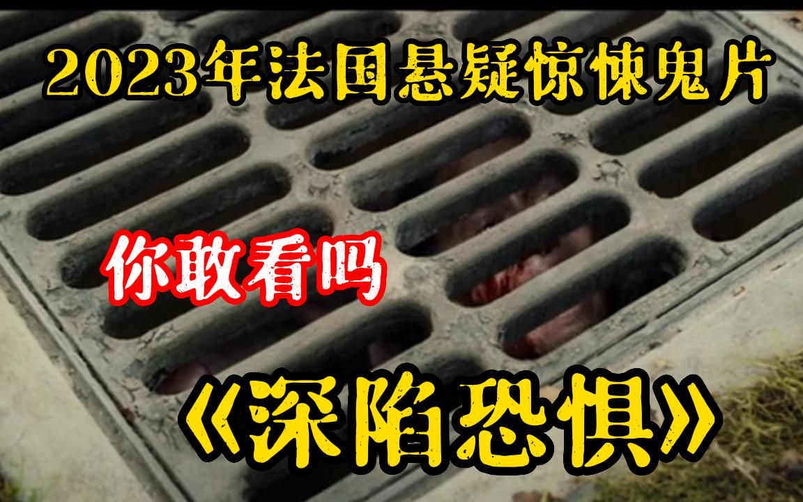 [图]【你敢看吗】2023年最新法国悬疑惊悚影片《深陷恐惧》结尾反转，真是让我太意外了！