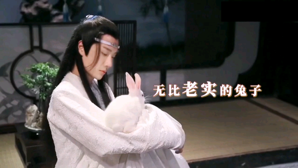 王一博抱小兔子