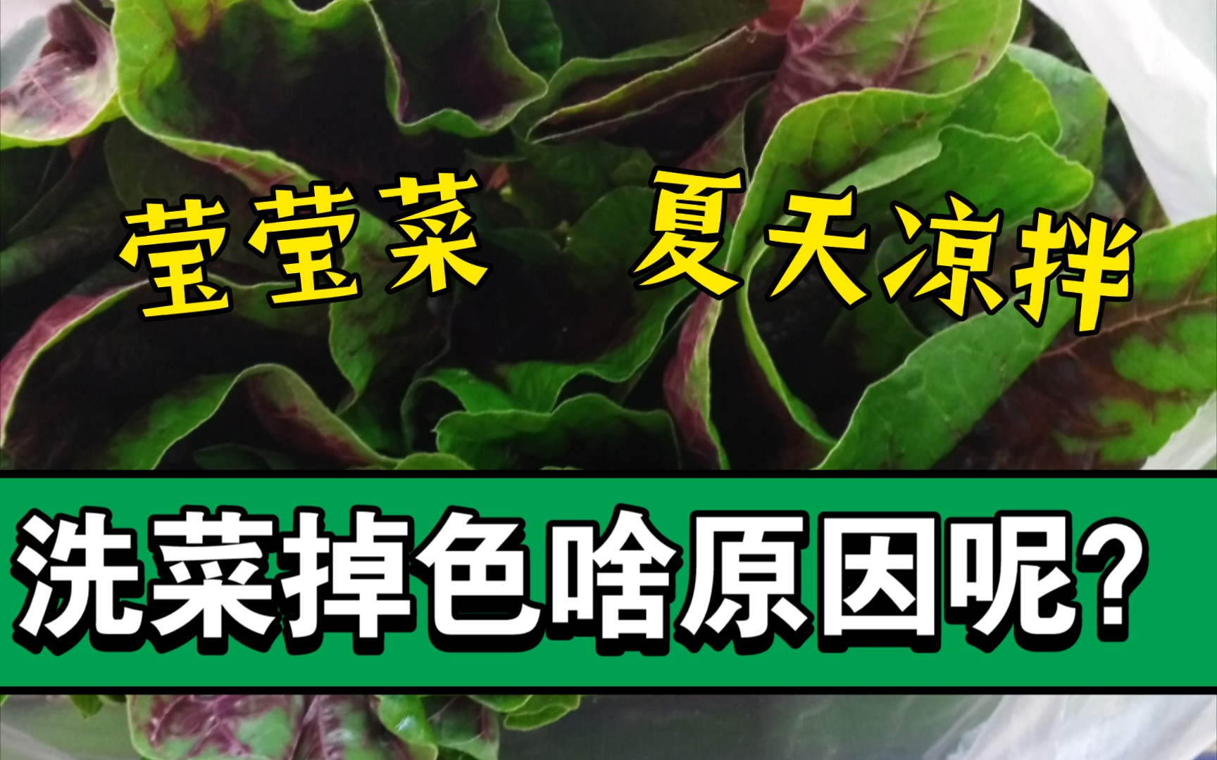 第一次吃凉拌莹莹菜,洗了十几遍水还是很红,有人知道怎么回事吗?
