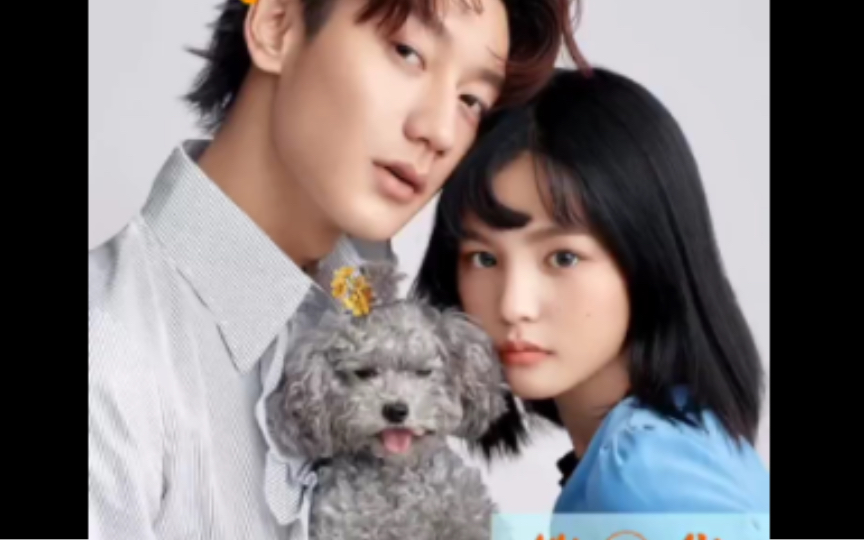 鹿单东#静静地说爱你1