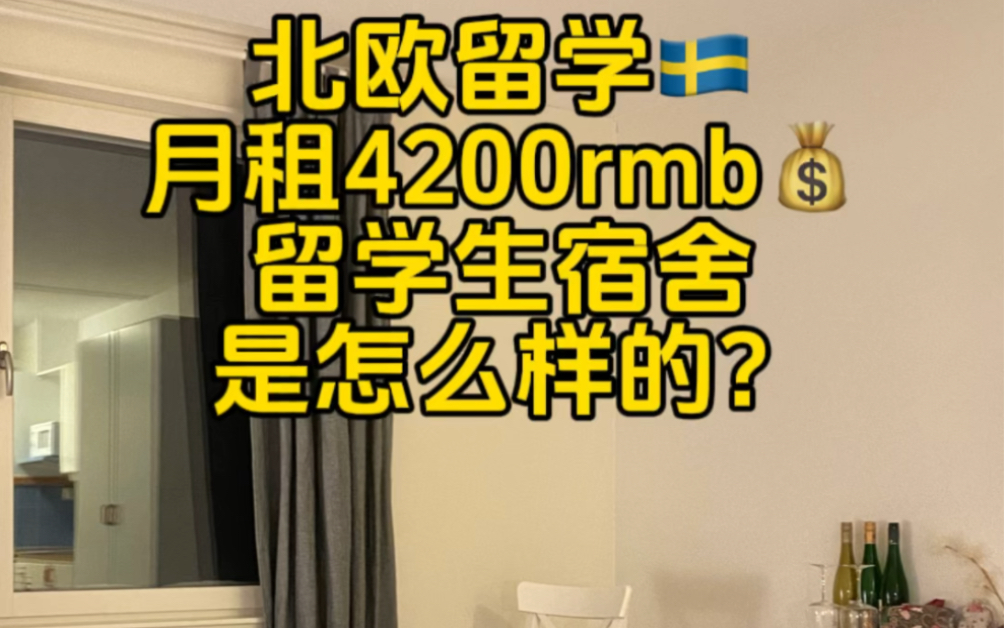 北欧留学| 瑞典乌普萨拉大学月租4200rmb学生宿舍roomtour ,哈哈我们房租6000出头算下来4200rmb不到,乌普萨拉市中心K16哔哩哔哩bilibili