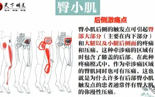 Скачать видео: 《臀小肌》——假性坐骨神经痛