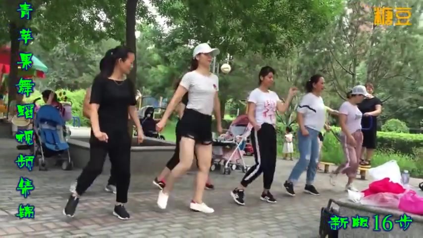 [图]中国舞蹈 广场舞--《一晃就老了》中文 华语 歌曲 chinese song dance