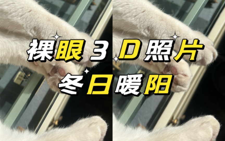 【裸眼3D照片】暖冬哔哩哔哩bilibili