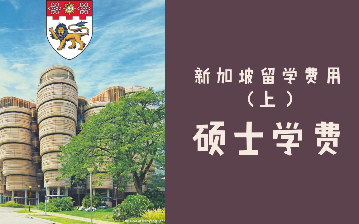 新加坡留学费用 | 硕士学费现在这么贵了!!工薪家庭还能来新加坡留学么?哔哩哔哩bilibili