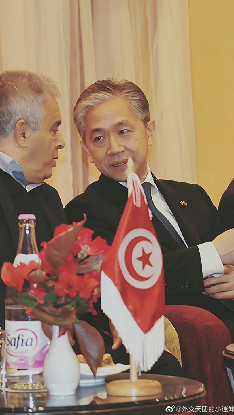 【汪文斌】汪司在突尼斯