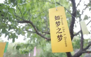 Télécharger la video: 《如梦之梦》官宣今年档期 北京、西安、昆明邀您“入梦”