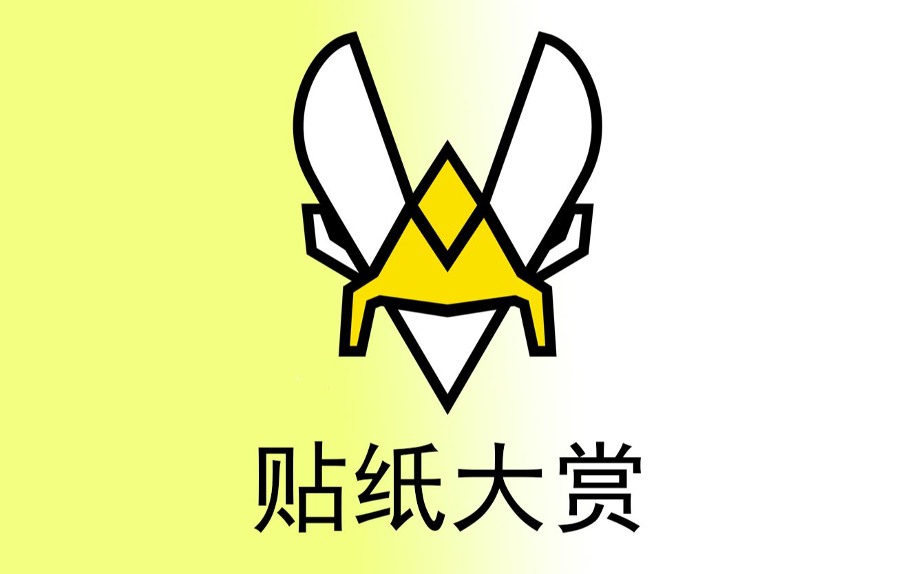 [图]CS:GO vitality/小蜜蜂 2019-2022贴纸全验视