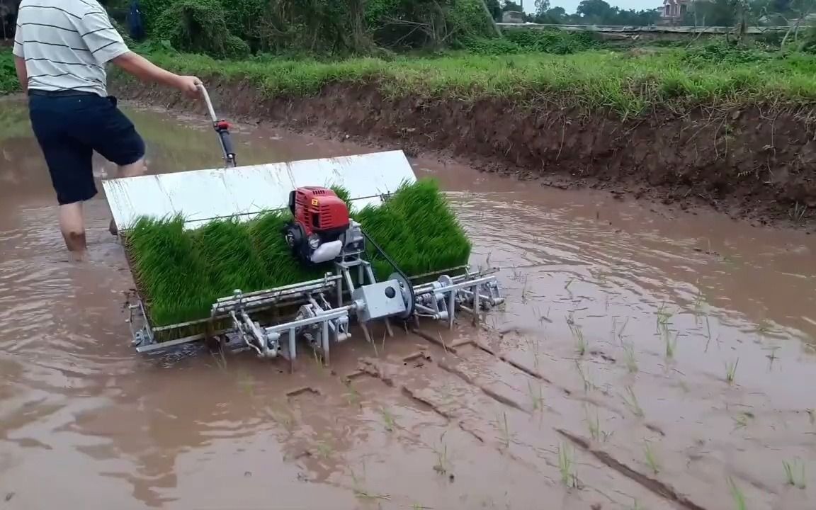 [图]Homemade rice transplant machine new invention