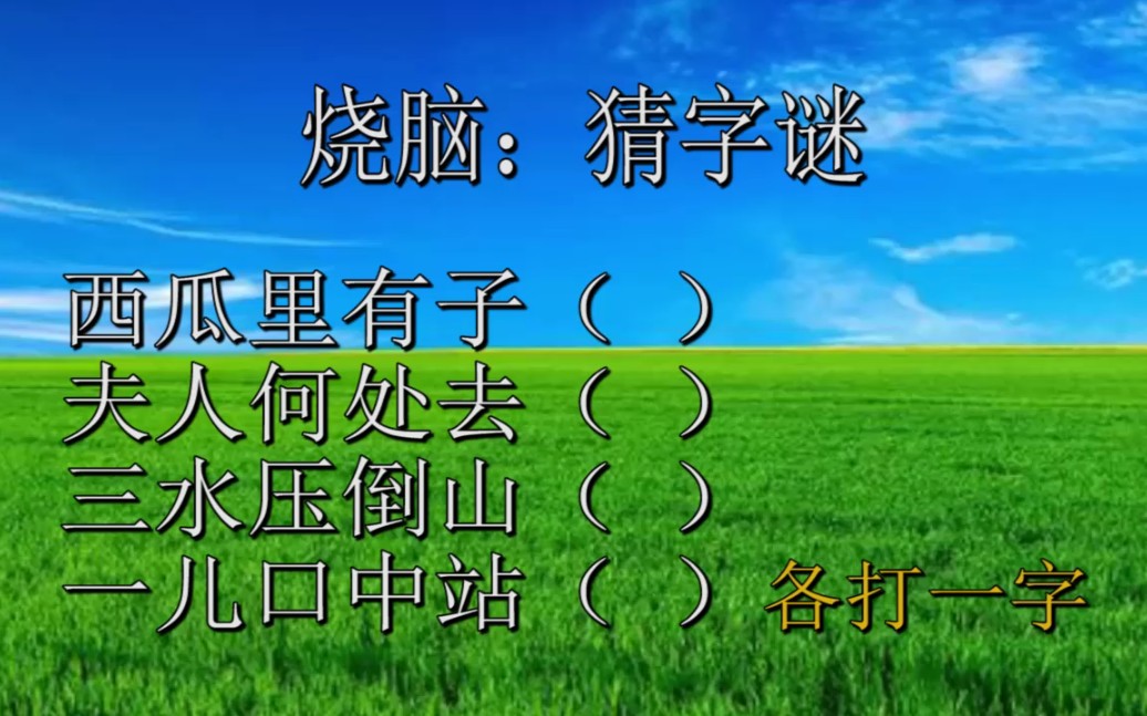 猜字谜,西瓜里有子,夫人何处去,三水压倒山,一儿口中站哔哩哔哩bilibili