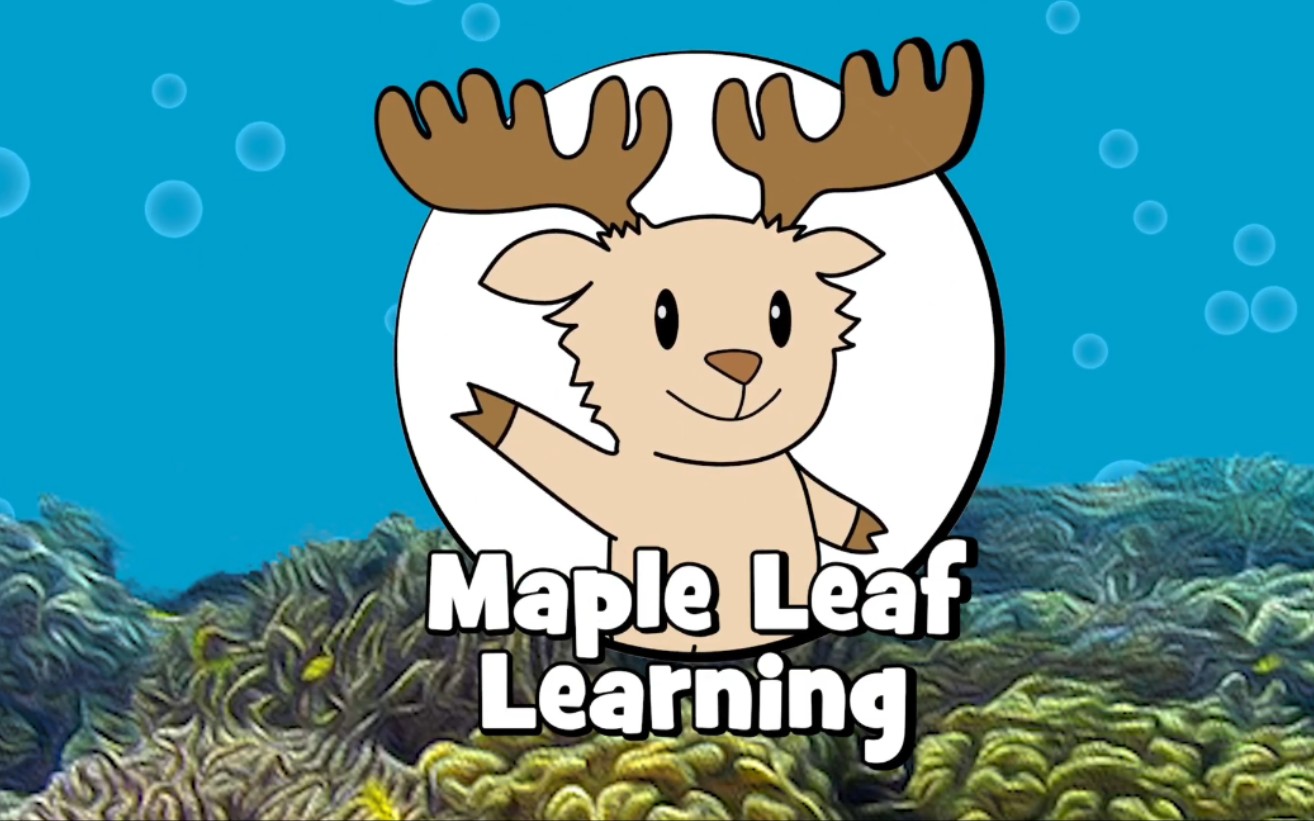 [图]【120集全】油管超级火爆的英文儿歌Maple Leaf Learning来袭