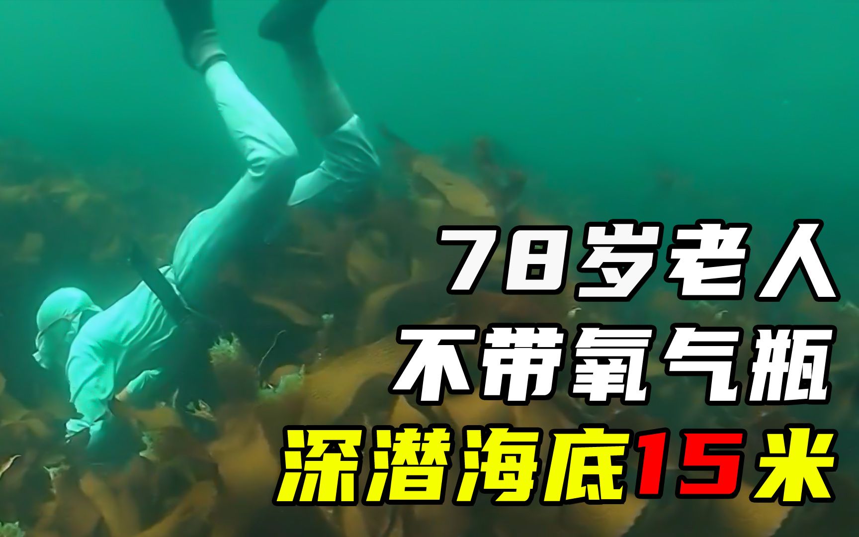 日本古老职业:女性赤裸下海捞鲍鱼,深潜3小时不带氧气瓶哔哩哔哩bilibili