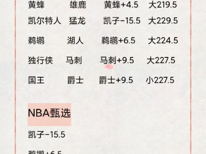 NBA常规赛,湖人vs鹈鹕:最近状态复苏的浓眉哥是否能拿下残阵鹈鹕?哔哩哔哩bilibili