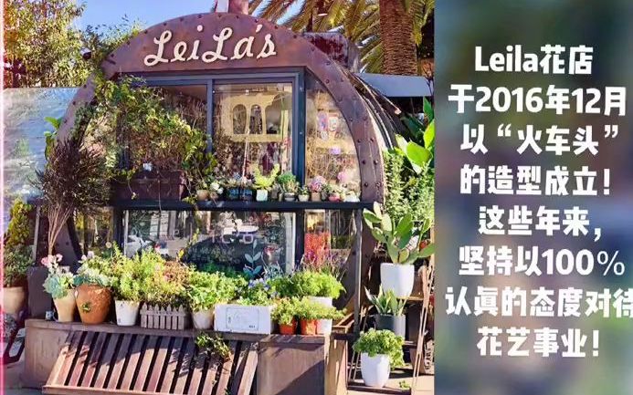 【网红花店】鲜花测评 多头玫瑰:折射哔哩哔哩bilibili