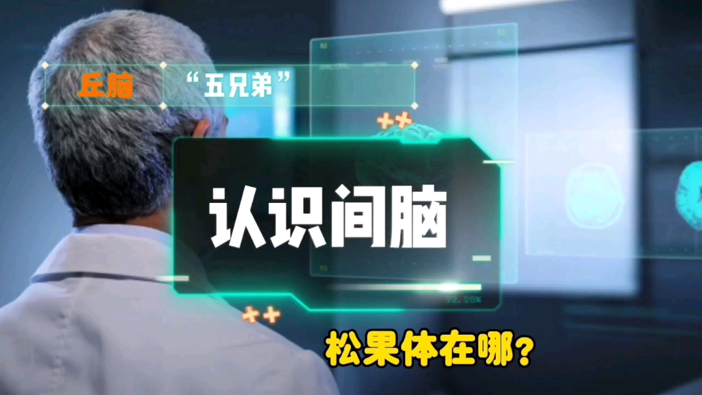 [图]【走近间脑】一起来认识“丘脑五兄弟”吧！《脑的科学》系列004期