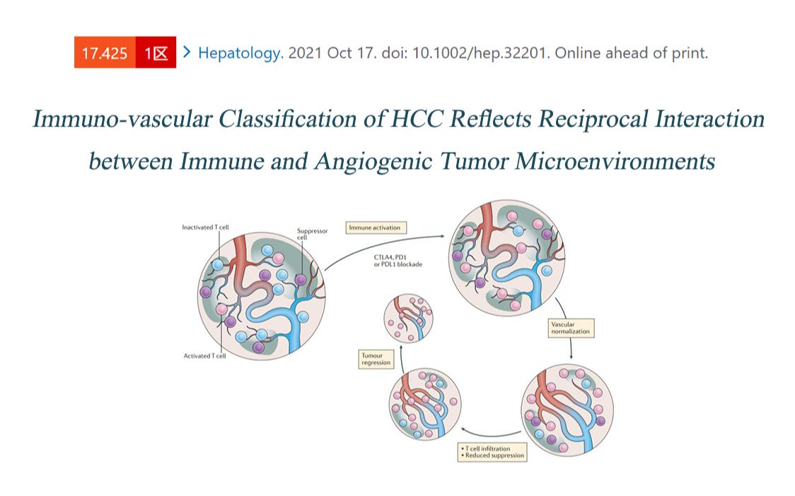 [图]跟着Hepatology学习肝癌的免疫-血管分型