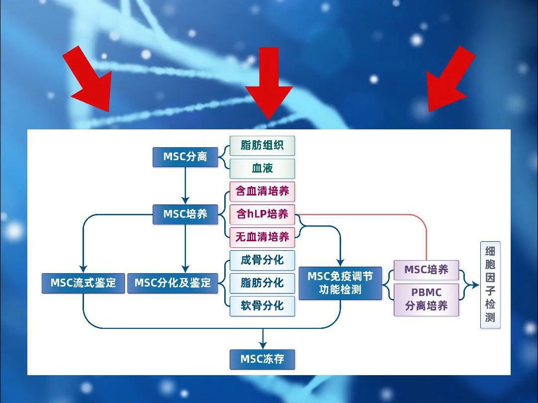 国自然标书怎么优化重点?哔哩哔哩bilibili