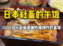 Download Video: 日本香嫩炸猪排炸虾盖饭！58块钱多汁下饭，太绝了！