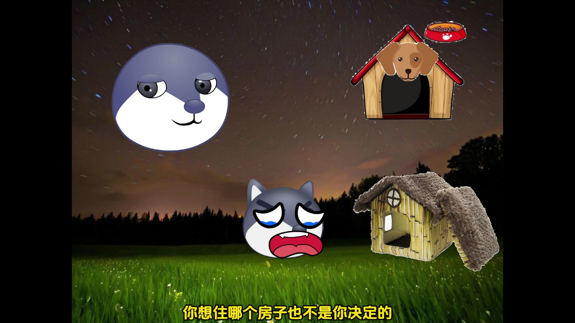 狗头逻辑视频哪个网站可以看的简单介绍
