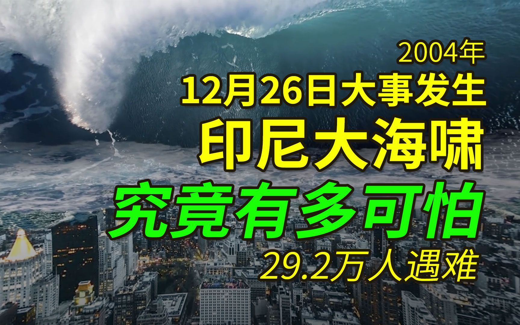 印度洋海啸到底有多可怕,29万人遇难,51万人受伤,想起都会打颤哔哩哔哩bilibili