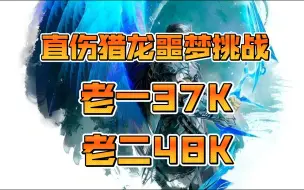 Download Video: 【激战2】直伤猎龙噩梦挑战老一37K，老二48K