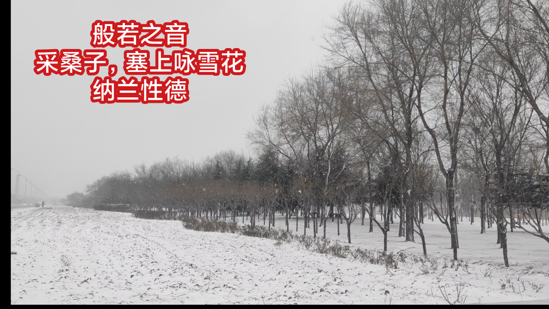 [图]采桑子，塞上咏雪花，纳兰性德