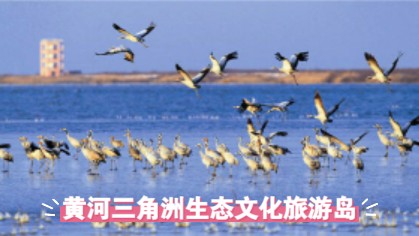 黄河三角洲生态文化旅游岛:深藏的人间仙境哔哩哔哩bilibili