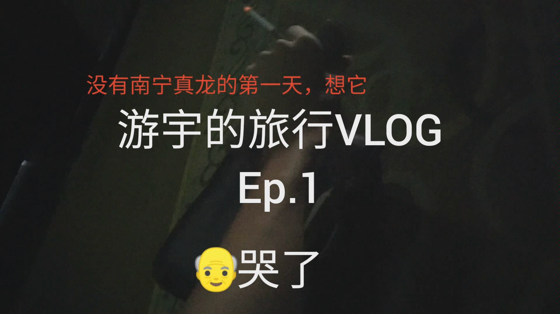 游宇的旅行日记【游宇的旅行VLOG】Ep.2封面打错字了~不在南宁的第一天,想真龙了哔哩哔哩bilibili