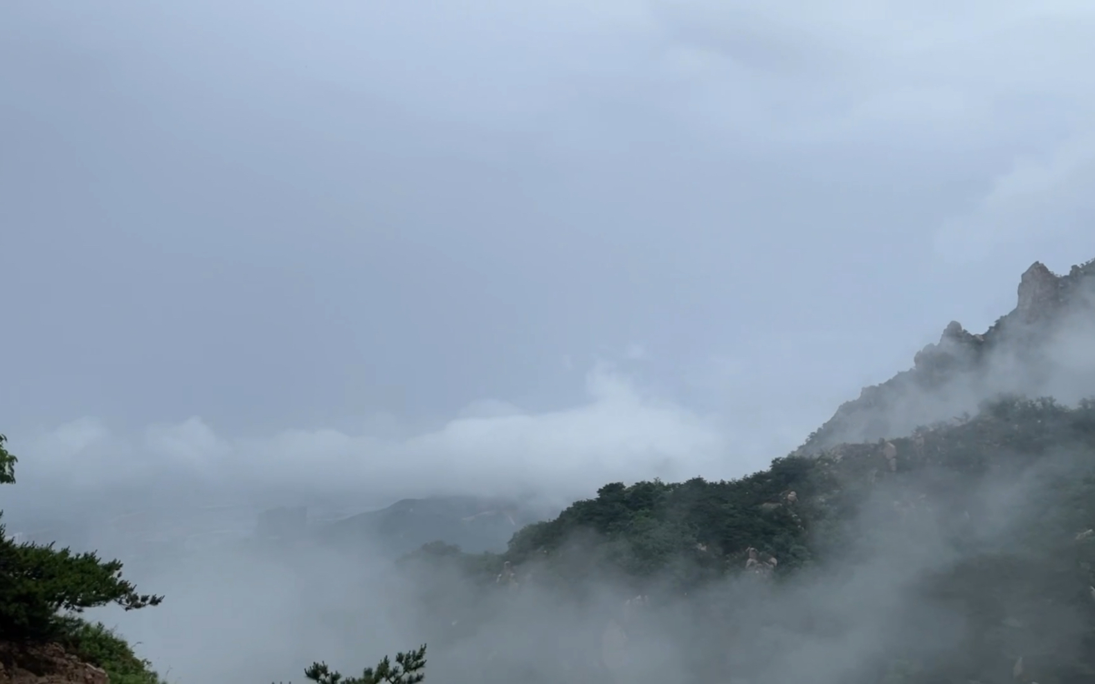 雨天爬山青岛珠山国家森林公园哔哩哔哩bilibili