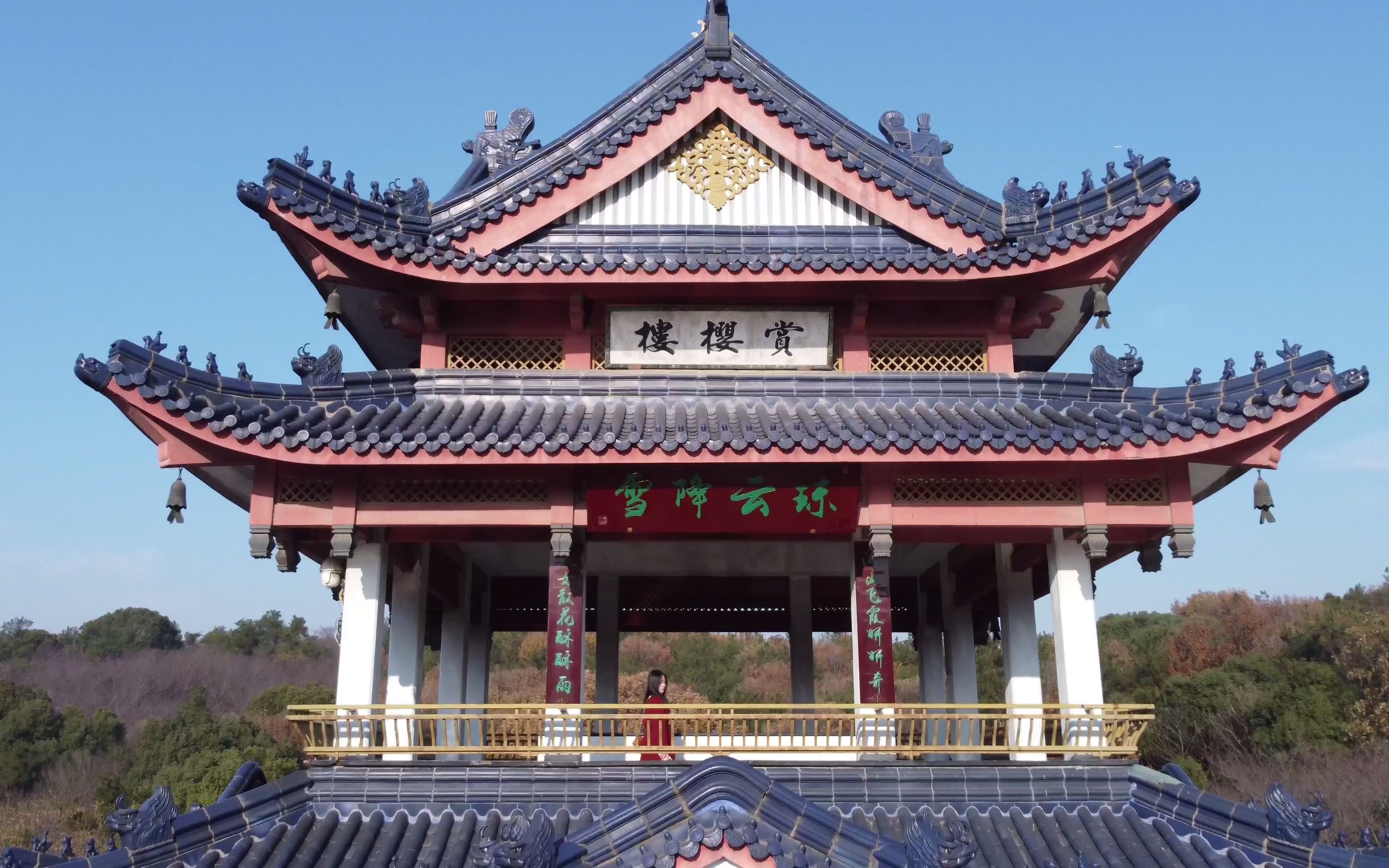 太湖樱花园,可惜不是樱花季