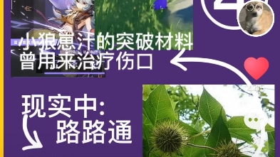 [图]原神-提瓦特大陆-人文地理-蒙德