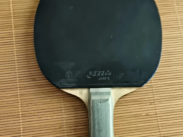 出vis,正手蓝省反手蝴蝶t80,价格私聊