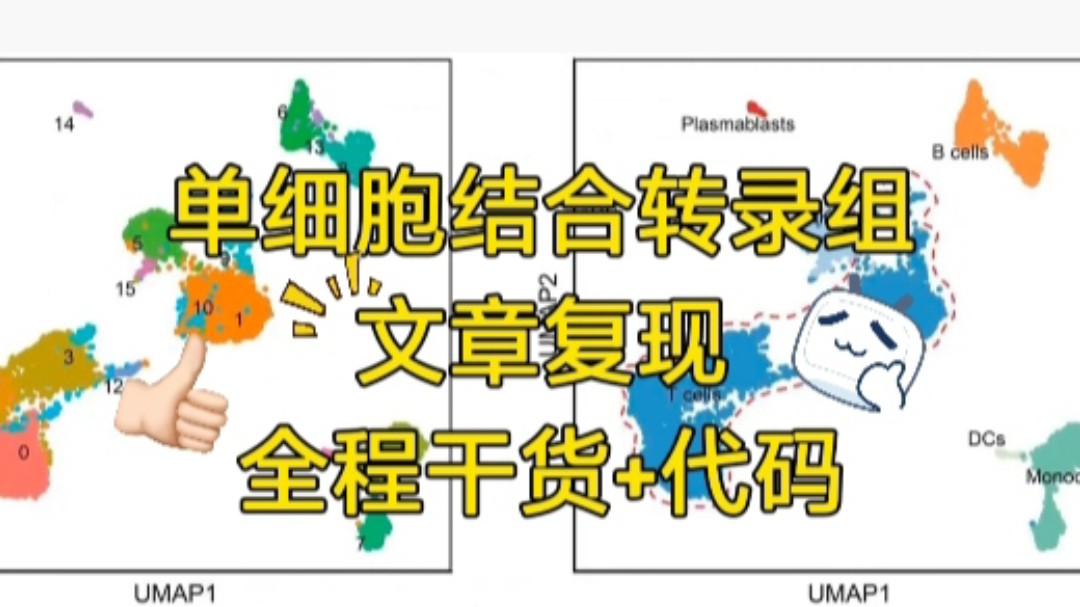 单细胞结合转录组文章复现—细胞注释哔哩哔哩bilibili